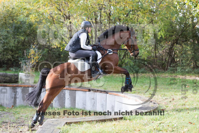 IGV Lehrgang der Sieger der Cups mit Frank Ostholt