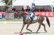 FEI European Championship