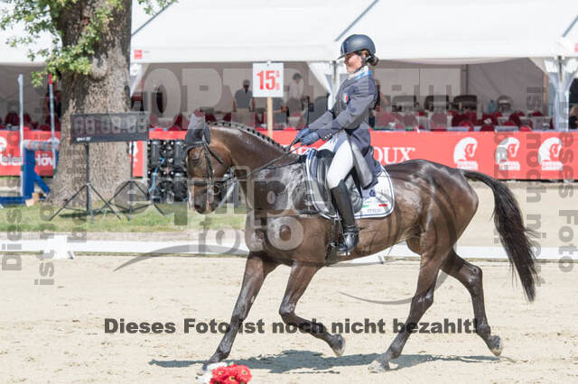FEI European Championship