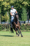 Kronenberg - De Peelbergen (August 2020)