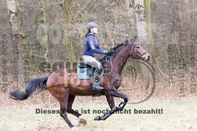 Geländetrainings RSV St. Hubertus Wesel Obrighoven