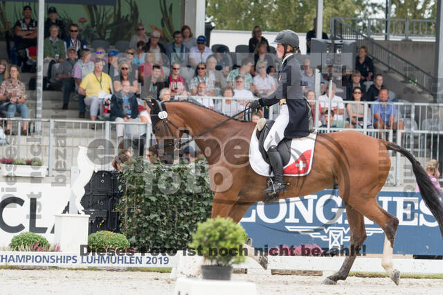 FEI European Championship Eventing 2019