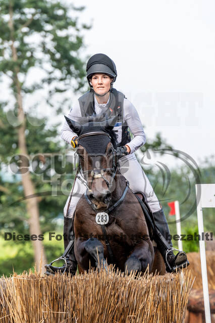 De Peelbergen (August 2020)