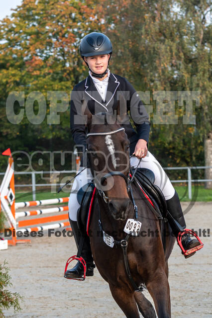 Goldene Schärpe 2020 - Pferde