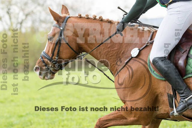 Vielseitigkeitsturnier RV Lippe-Bruch-Gahlen