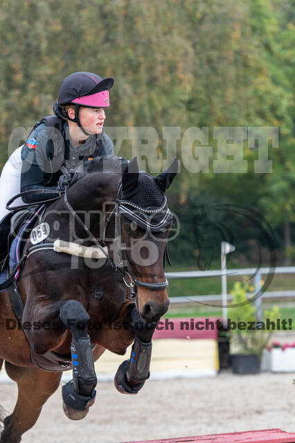 Goldene Schärpe 2020 - Pferde