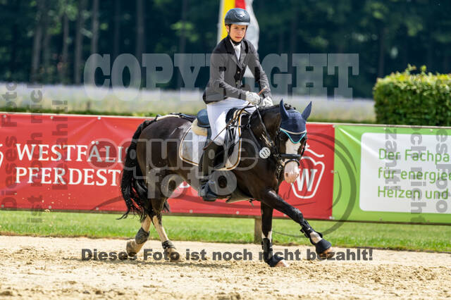Goldene Schärpe 2021 - Ponys