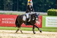 Goldene Schärpe 2021 - Ponys