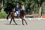 Kronenberg - De Peelbergen (August 2020)