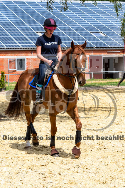 Hunter Geländetraining 10.07.2021 (Sonsbeck)