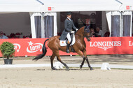 FEI European Championship Eventing 2017