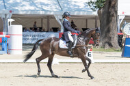 FEI European Championship