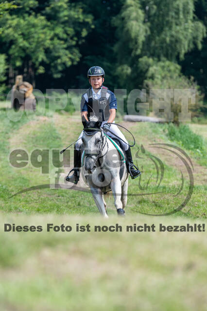 Goldene Schärpe 2021 - Ponys