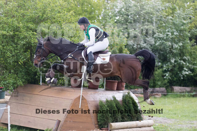 Sterne über Münster 2019 - CCI***S