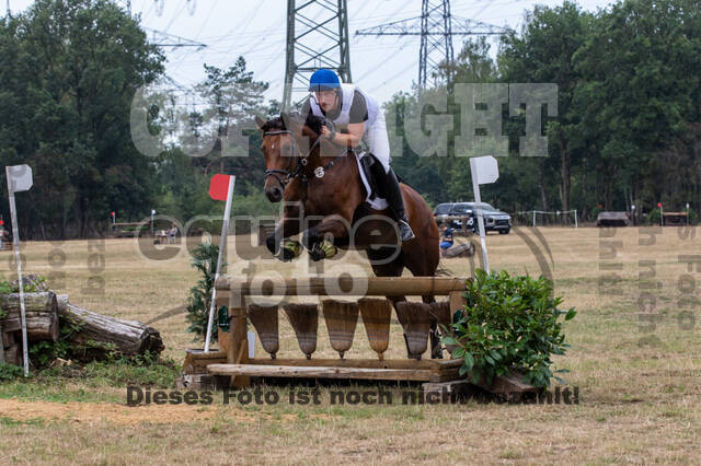 Late-Entry Vielseitigkeit Hamminkeln/Wesel (01.+02.08.2020)