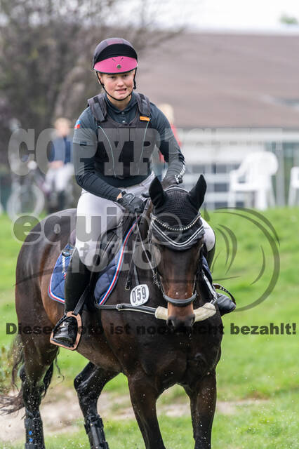 Goldene Schärpe 2020 - Pferde