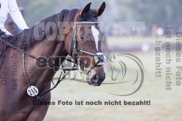 Vielseitigkeitsturnier RSV St. Hubertus Wesel Obrighoven