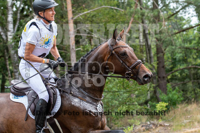 Late-Entry Vielseitigkeit Hamminkeln/Wesel (01.+02.08.2020)