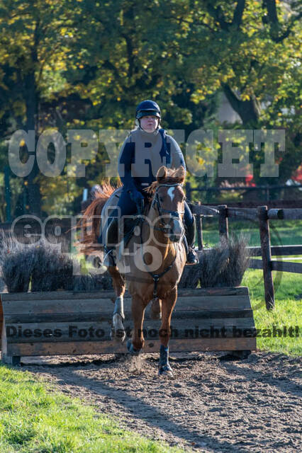 Vielseitigkeitslehrgang mit Jürg Kurbel (9.+10.11.2019)