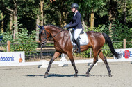 Kronenberg - De Peelbergen (August 2020)