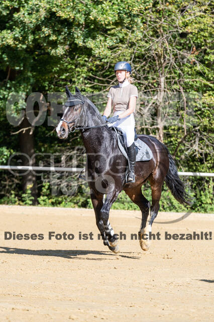 RFV Dinslaken-Hiesfeld (Herbstturnier)