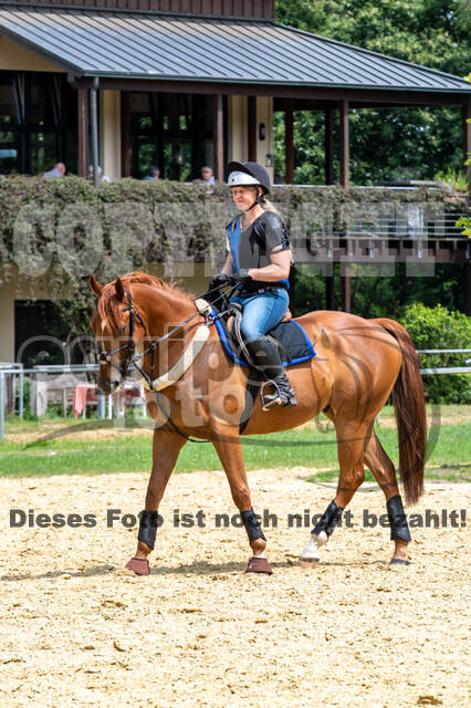Hunter Geländetraining 10.07.2021 (Sonsbeck)