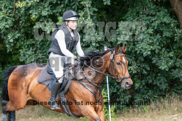 Late-Entry-Vielseitigkeit Langenfeld (11.+13./14.06.2020)