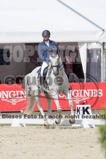 FEI European Championship Eventing 2017