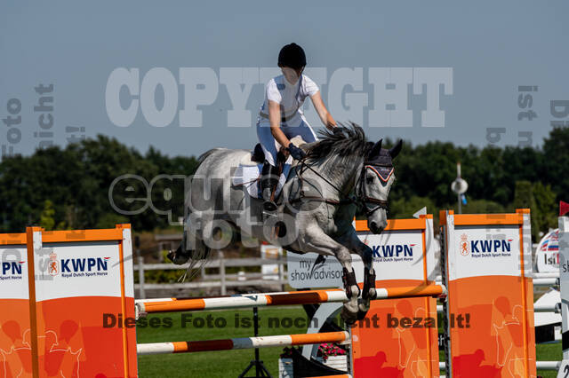 Kronenberg - De Peelbergen (August 2020)