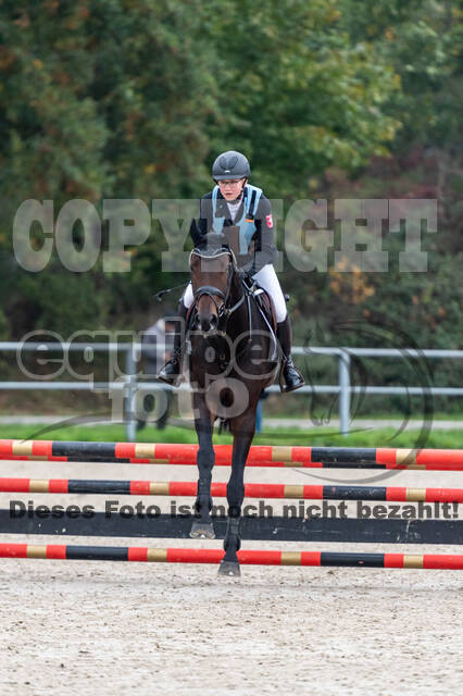 Goldene Schärpe 2020 - Pferde