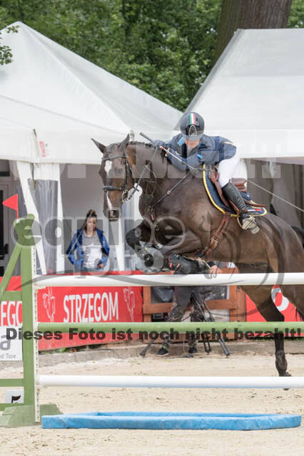 FEI European Championship