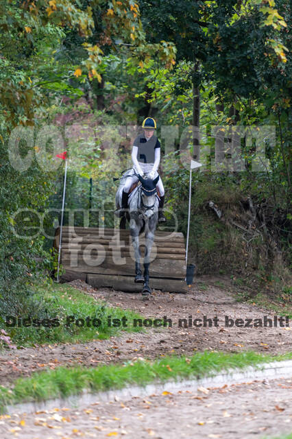 Goldene Schärpe 2020 - Pferde