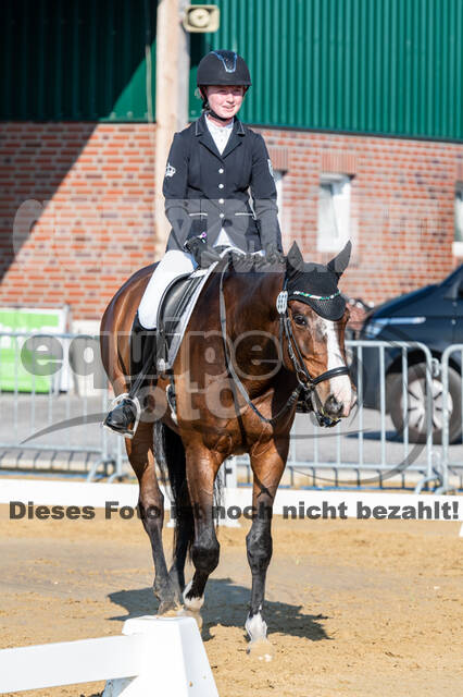 Westerstede Horse Trials 2021