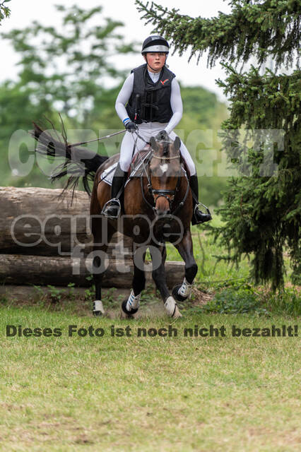 Late-Entry-Vielseitigkeit Langenfeld (11.+13./14.06.2020)