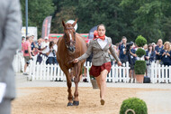 FEI European Championship Eventing 2019