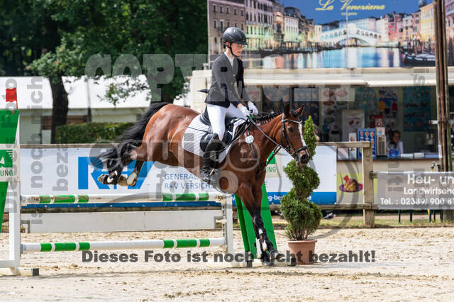 Goldene Schärpe 2021 - Ponys