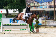 Goldene Schärpe 2021 - Ponys
