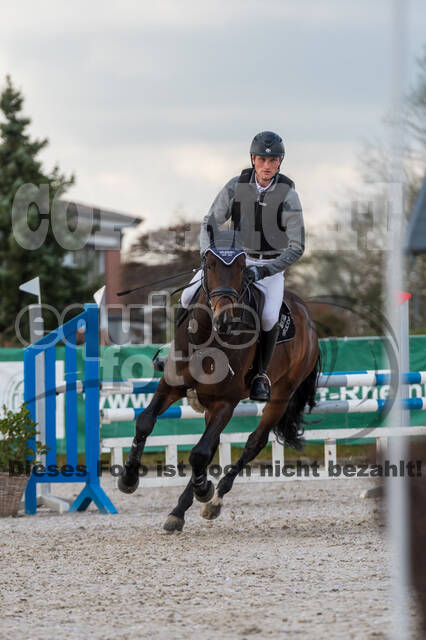 Eventing im Pferdesportzentrum Rheinland (Late Entry 14.03.2022)
