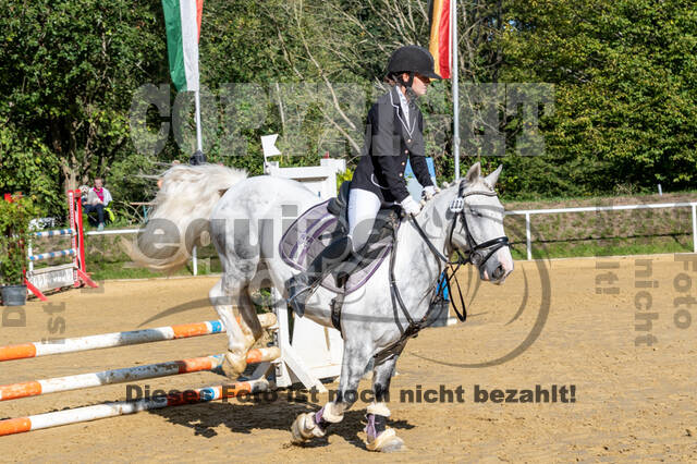 RFV Dinslaken-Hiesfeld (Herbstturnier)