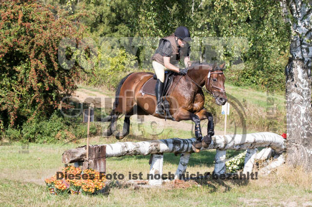 Vielseitigkeitsturnier RSV St. Hubertus Wesel Obrighoven