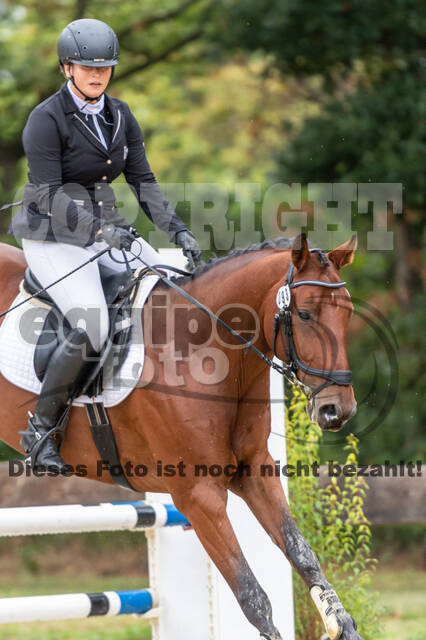 Vielseitigkeit RSV Wesel Obrighoven (26.+27.09.2020)