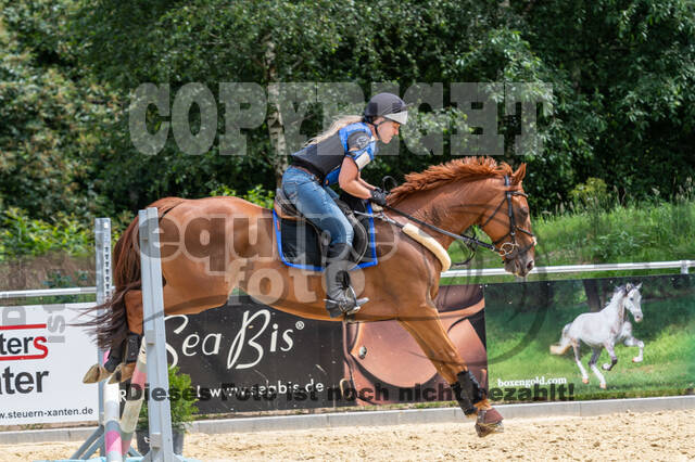 Hunter Geländetraining 10.07.2021 (Sonsbeck)