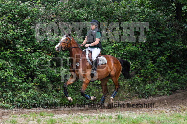 Late-Entry-Vielseitigkeit Langenfeld (11.+13./14.06.2020)