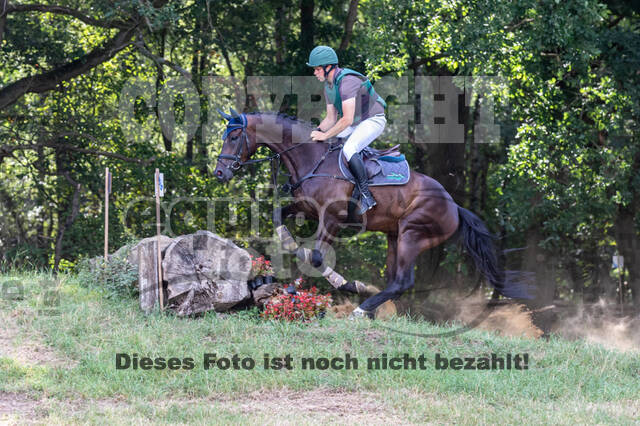 Late-Entry Vielseitigkeit Hamminkeln/Wesel (01.+02.08.2020)