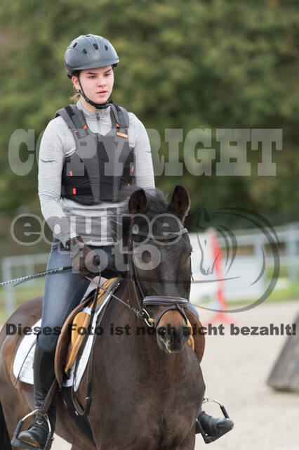 IGV Lehrgang der Sieger der Cups mit Frank Ostholt