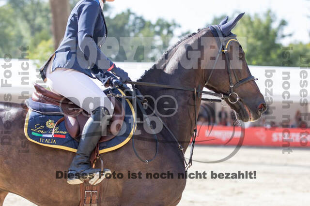 FEI European Championship