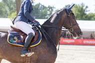 FEI European Championship