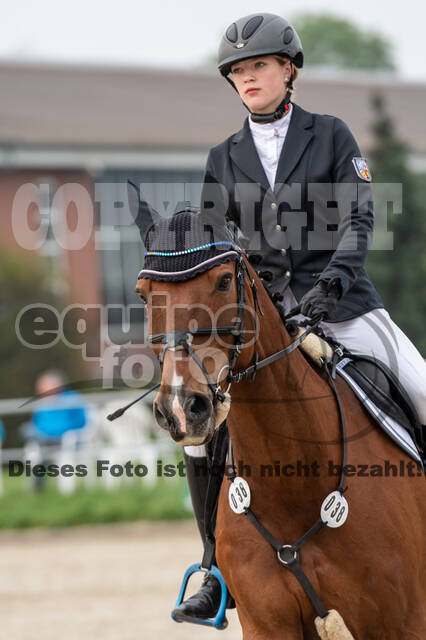 Goldene Schärpe 2020 - Pferde