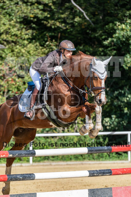 RFV Dinslaken-Hiesfeld (Herbstturnier)