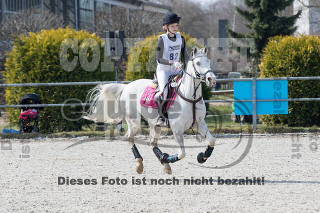 Eventing Langenfeld 2018